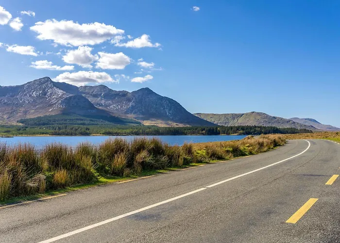 478 - Дом отдыха *